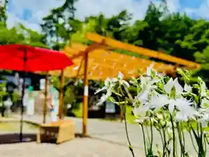 土津神社|こどもと出世の神さま(福島県)(2024年08月05日(月) 10時39分44秒投稿)