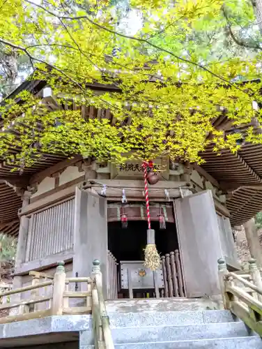 金華山黄金山神社(宮城県)