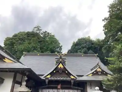 白蛇辨財天の本殿・本堂