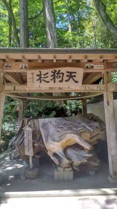 目の霊山 油山寺(静岡県)