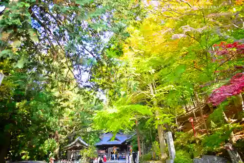新倉富士浅間神社(山梨県)