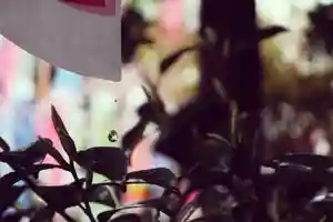 くまくま神社(導きの社 熊野町熊野神社)のその他建物(2021年04月05日(月) 22時46分16秒投稿)