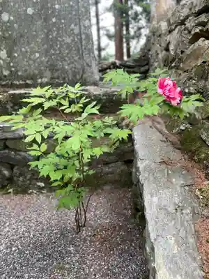 焼山寺(徳島県)