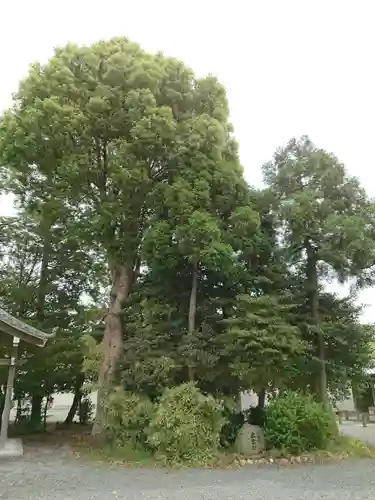 佐藤八幡社のその他建物