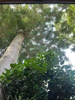 祖母井神社(栃木県)