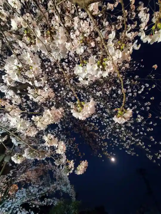 如宝寺(福島県)