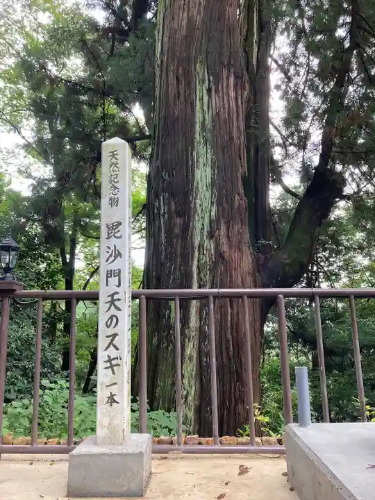 大岩山 最勝寺の自然