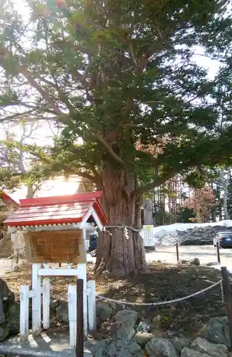 豊栄神社の自然