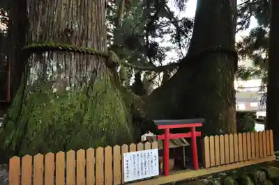 室生龍穴神社(奈良県)