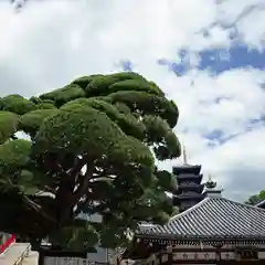 中山寺の建物その他