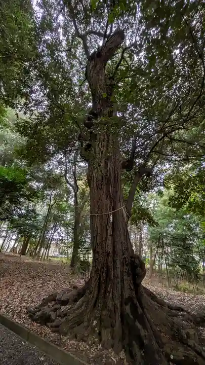 神明神社(神明皇大神宮)(京都府)