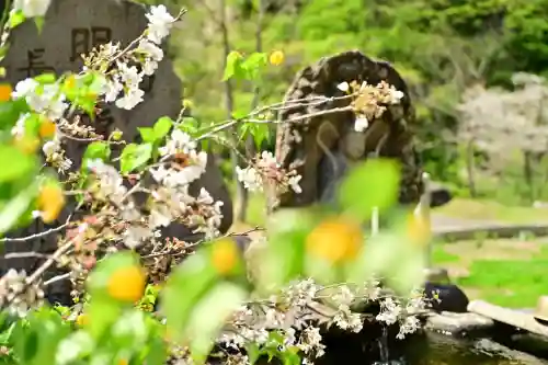 妙龍神社(新潟県)