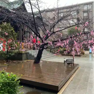 桜神宮(東京都)