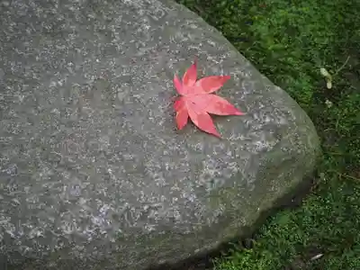長壽寺（長寿寺）(神奈川県)