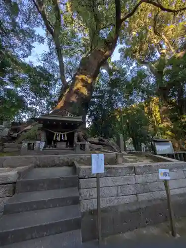 生目神社(宮崎県)