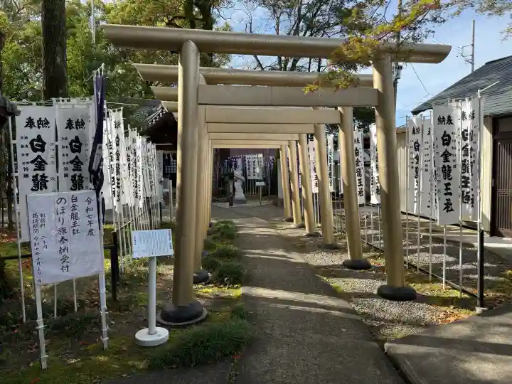 白金龍王社の{uncategorized: "未分類", other: "その他", undefined: "問題あり", building: "その他建物", grave: "お墓", sacred_gate: "鳥居", guardian: "狛犬", statue: "像", buddha: "仏像", history: "歴史", nature: "自然", garden: "庭園", animal: "動物", pagoda: "塔", temizu: "手水舎", mountain_gate: "山門・神門", sanctuary: "本殿・本堂", subordinate: "末社・摂社", art: "芸術", scenery: "景色", jizo: "地蔵", ema: "絵馬", goshuin: "御朱印", omikuji: "おみくじ", items: "授与品その他", amulet: "お守り", goshuincho: "御朱印帳", eats: "食事", festival: "お祭り", votive_dance: "神楽", shichigosan: "七五三参", wedding: "結婚式", experience: "体験その他", initially: "初詣", around: "周辺", anti_infection: "感染症対策"}