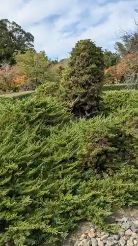 勧修寺(京都府)