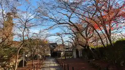 光明寺（粟生光明寺）(京都府)