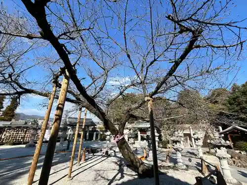 伊和志津神社(兵庫県)