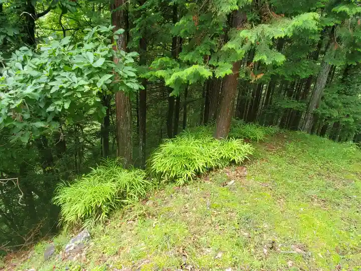九十九神社の自然