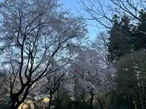 大宮温泉神社(栃木県)(2023年04月05日(水) 10時39分21秒投稿)