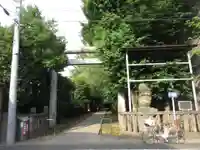 駒込天祖神社の鳥居