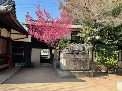 河内國魂神社の狛犬