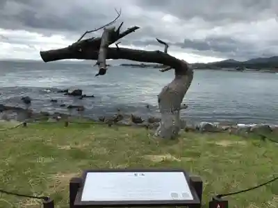 琴平神社の自然