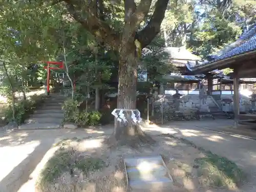 香良須神社(愛知県)