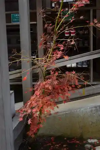 曾屋神社(神奈川県)