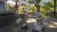 大久保青木神社の狛犬