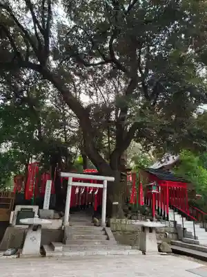 乃木神社(東京都)