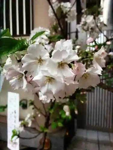 十番稲荷神社(東京都)