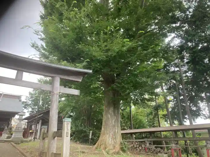 諏訪社(神奈川県)