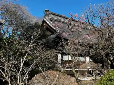 高円寺(東京都)