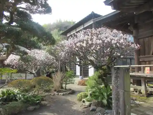 極楽寺（霊鷲山感應院極楽律寺）のその他建物