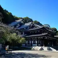 長谷寺の本殿・本堂