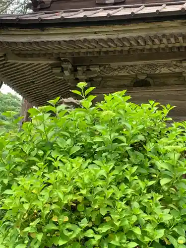 青龍山 吉祥寺の自然