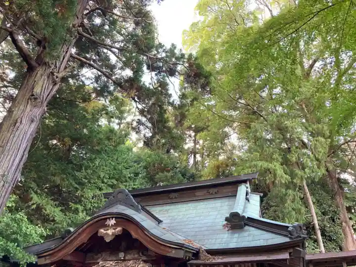 胎安神社(茨城県)