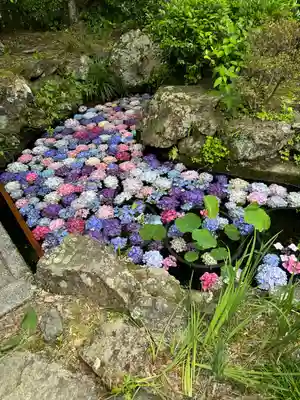 柳谷観音　楊谷寺(京都府)
