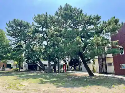 平塚三嶋神社(神奈川県)