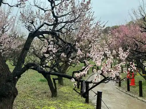 豊國神社の庭園