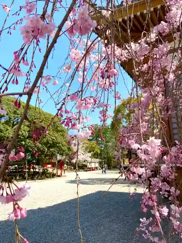 市原稲荷神社の自然