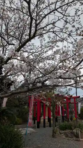 浄心院(福岡県)