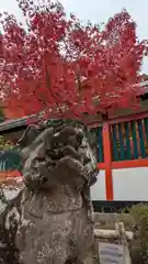 鍬山神社(京都府)