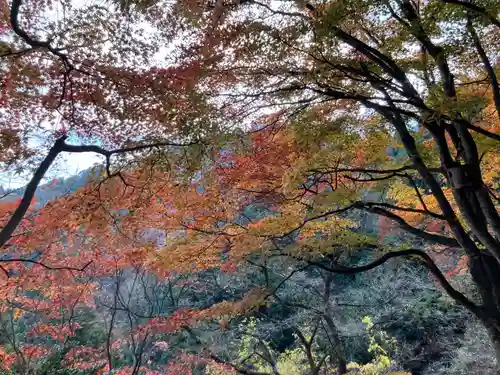武蔵御嶽神社(東京都)