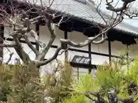 総見院(京都府)