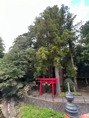 須山浅間神社の鳥居