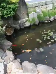 福祥寺（須磨寺）の庭園