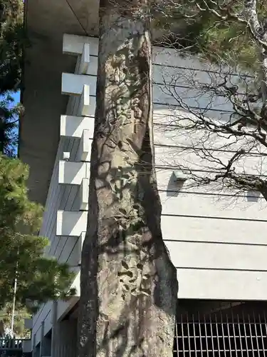 櫻山八幡宮(岐阜県)